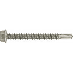 RUWAG Stainless Steel Tek Screw 5.5x25mm (100)
