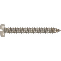 RUWAG Stainless Steel Self Tapper Pan Head 3.5x25mm (10)