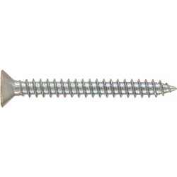 RUWAG Stainless Steel Self Tapper Counter Sunk 5x30mm (10)