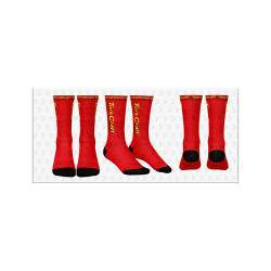 TORK CRAFT  TORK CRAFT Large Socks - Adventure Striped