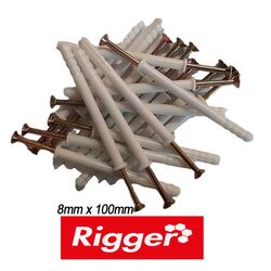 Nail In Anchors Bulk 8x100 Pack 50