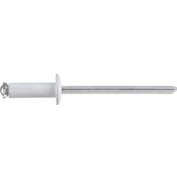Blind Rivet Peeled White 4x12mm (100)