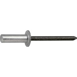 RUWAG Blind Rivet Sealed 4.8x18mm (25)