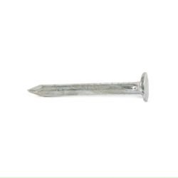 RUWAG Clout Nail 25mm (100g)