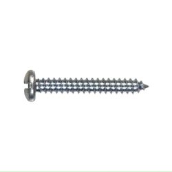 RUWAG Stainless Steel Self Tapper Pan Head 3.5x13mm (10)