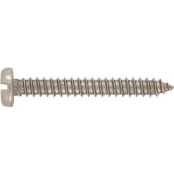 RUWAG Stainless Steel Self Tapper Pan Head 3.5x32mm (10)