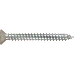 RUWAG Stainless Steel Self Tapper Counter Sunk 3.5x25mm (10)