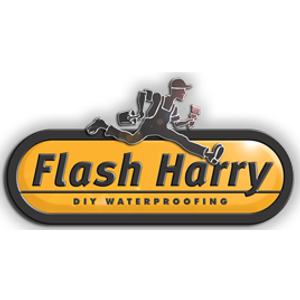 FLASH HARRY