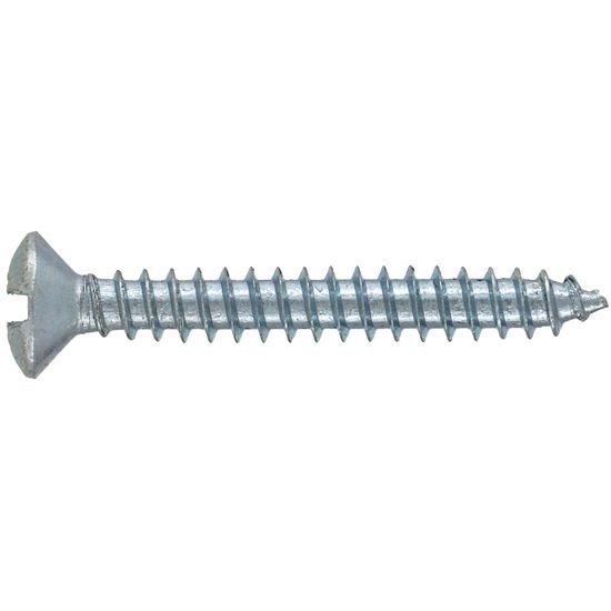 RUWAG Self Tapping Screw Countersunk Raised 4x16mm (10)