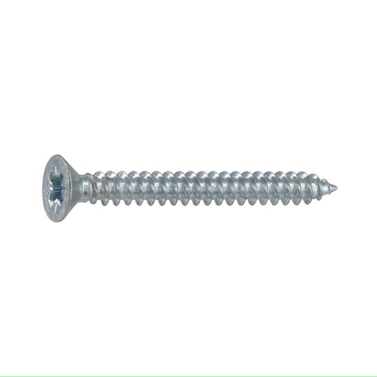 RUWAG Self Tapping Screw Counter Sunk Pozi 4x30mm (10)
