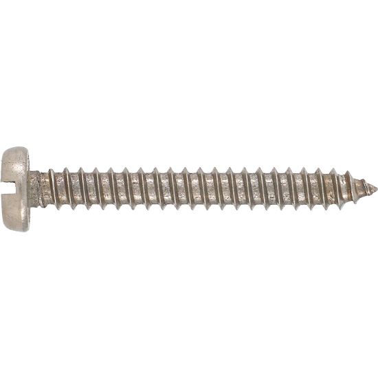 RUWAG Stainless Steel Self Tapper Pan Head 3.5x25mm (10)