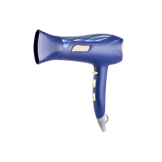 Hair Dryer Ionic Function 1800-2200w & Acc Blue