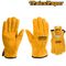 INGCO Glove Cow Split Leather Sz 10