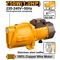 Pump Jet 750w Maxflow 55l/min