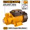 INGCO Pump 370w Max Flow 0.5hp 36l/min
