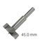 ALPEN Forstner Drill Bit Sharp Shark 45mm