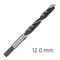 ALPEN Wood Drill Bit 12 X 151mm