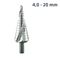 ALPEN Hss Step Drill 4-20mm