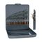 ALPEN Sprint Master Set 19 Piece 1-10 X 0.5mm In Metal Case 1-6mm Free Inclu