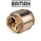 BAMAX Non Return Valve In Line 1' F/f