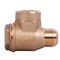GAV Non-return Valve 1'f - 1'm