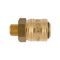 GAV Brass Male Quick Coupler 1/4'm