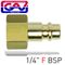 GAV Brass Connector 1/4'f