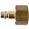 GAV Brass Connector 1/2'f