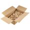 Domino Tenon 8x40mm 500pc Per Colour Beech Wood