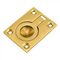 Flush Ring 38mmx50mm (1)