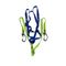 Safety Harness Double Lanyard & Scaff Hooks