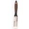 1 Inch (25.4mm) Paint Brush Pet Filaments