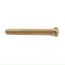 RUWAG Machine Screw Brass & Wing Nut 6x50mm (2)