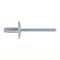 RUWAG Blind Rivet Large Flange 4.8x24mm (200)