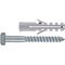 Coach Screw & Plug 10x50mm (60)