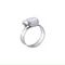 RUWAG Hose Clamp 14x27 (10)