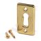 RUWAG Escutcheon Plate Straight Brass Plated (1)