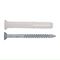 RUWAG Plastic Rimmed Nail-in Anchor 6x70mm (15)