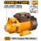INGCO Pump 550w Max Flow 45l/min