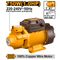 INGCO Pump 750w Max Flow 50l/min