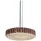 TORK CRAFT Mini Flap Wheel 29.5 X 5 X3.2mm Shank 80g